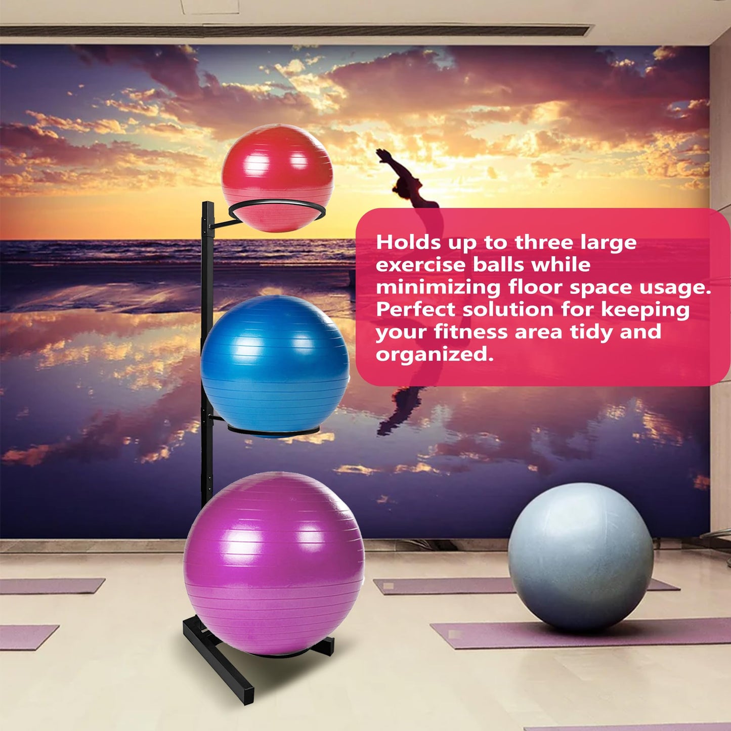 Montex Yoga Ball Holder, Exercise Ball Holder Vertical Storage for Commercial Gym and Home