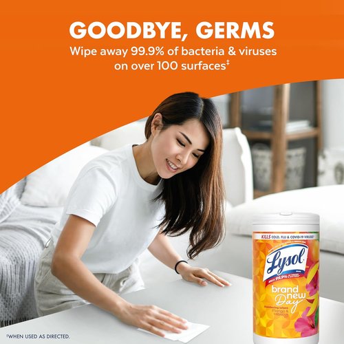 Lysol Disinfecting Wipes - All-Purpose Cleaning & Sanitizing Wipes | Lavender & Mango Scents, 80 Count (4 Pack)