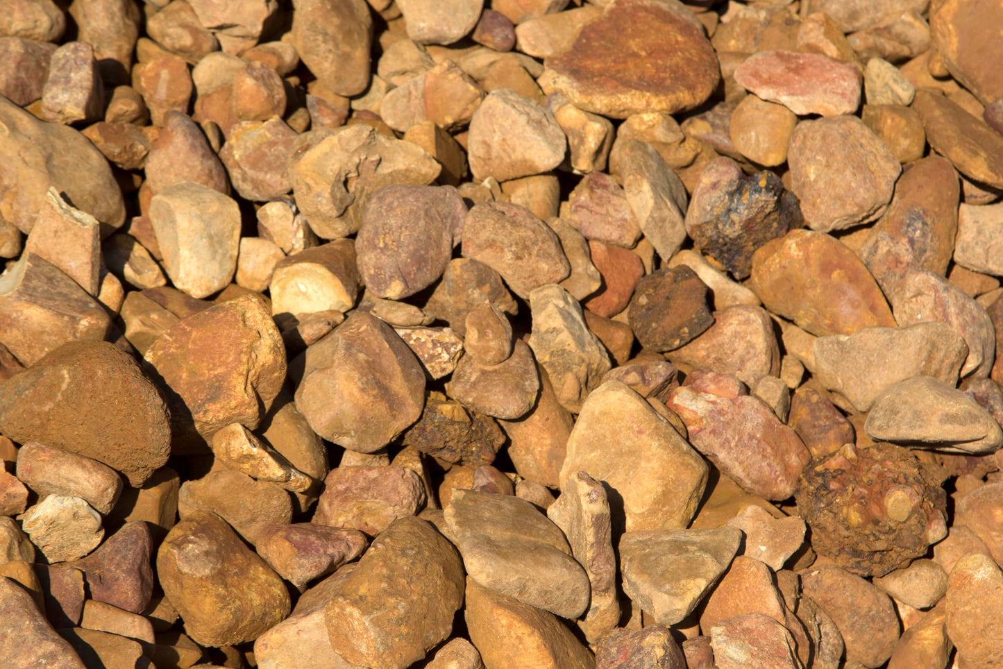 Large River Rock – Gravel Company 2-3'' River Rock for Drainage, Erosion Control, Creek Beds & Landscape Accents – Natural Rounded Stone (40 lbs)