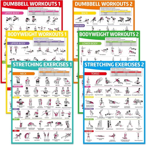 Gisgfim Workout Posters - 6PCS Home Gym Exercise Charts for Dumbbell & Bodyweight Stretching