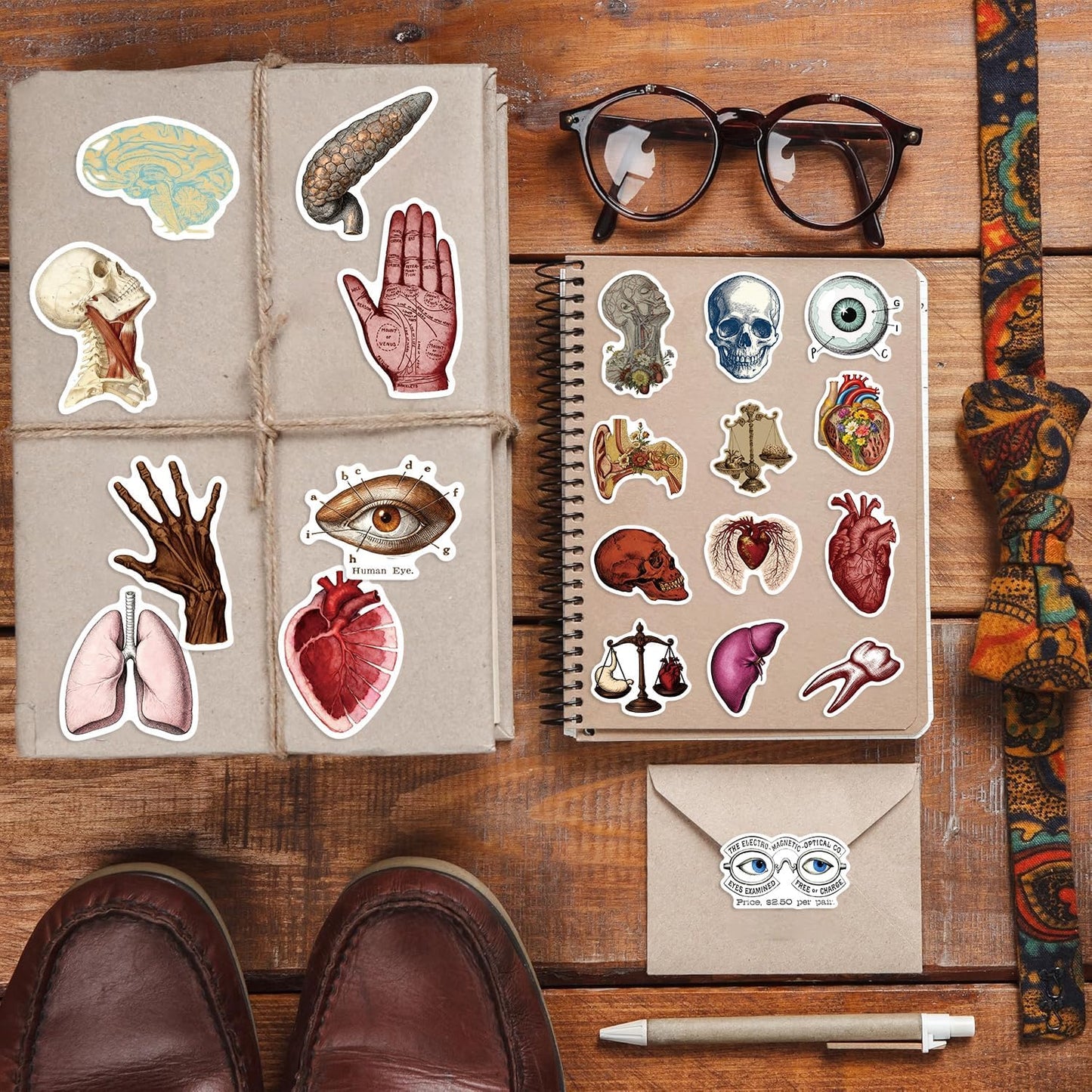 LOOAEFX 50PCS Pack, Vintage Anatomy Stickers - Medical Student Gift Biology Human Body Organ Vinyl Waterproof Decals