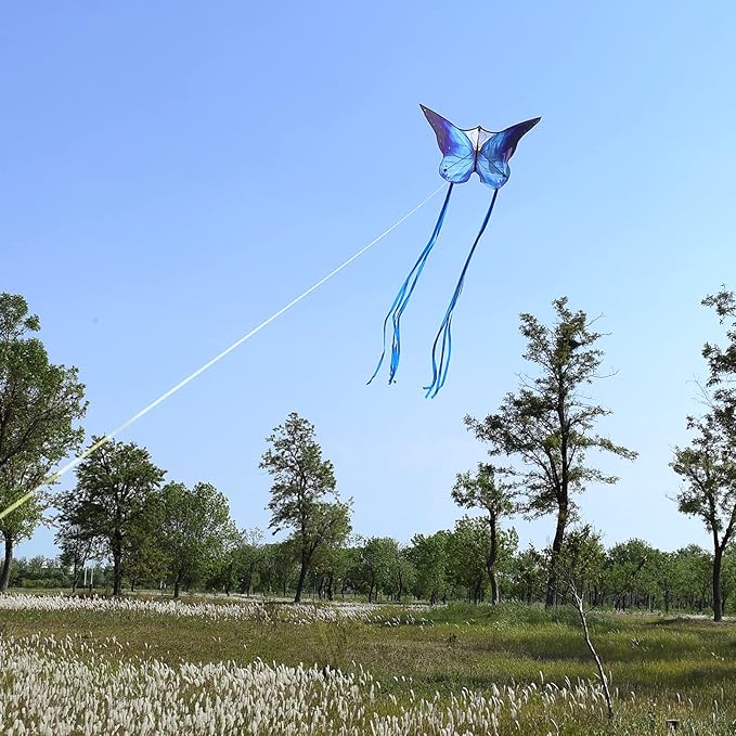 Butterfly Kites for Kids and Adults, Easy to Fly Large Single Line Kite for Boys and Girls - 55" x 28" Beach Kite for Beginners, 300ft String Handle Included