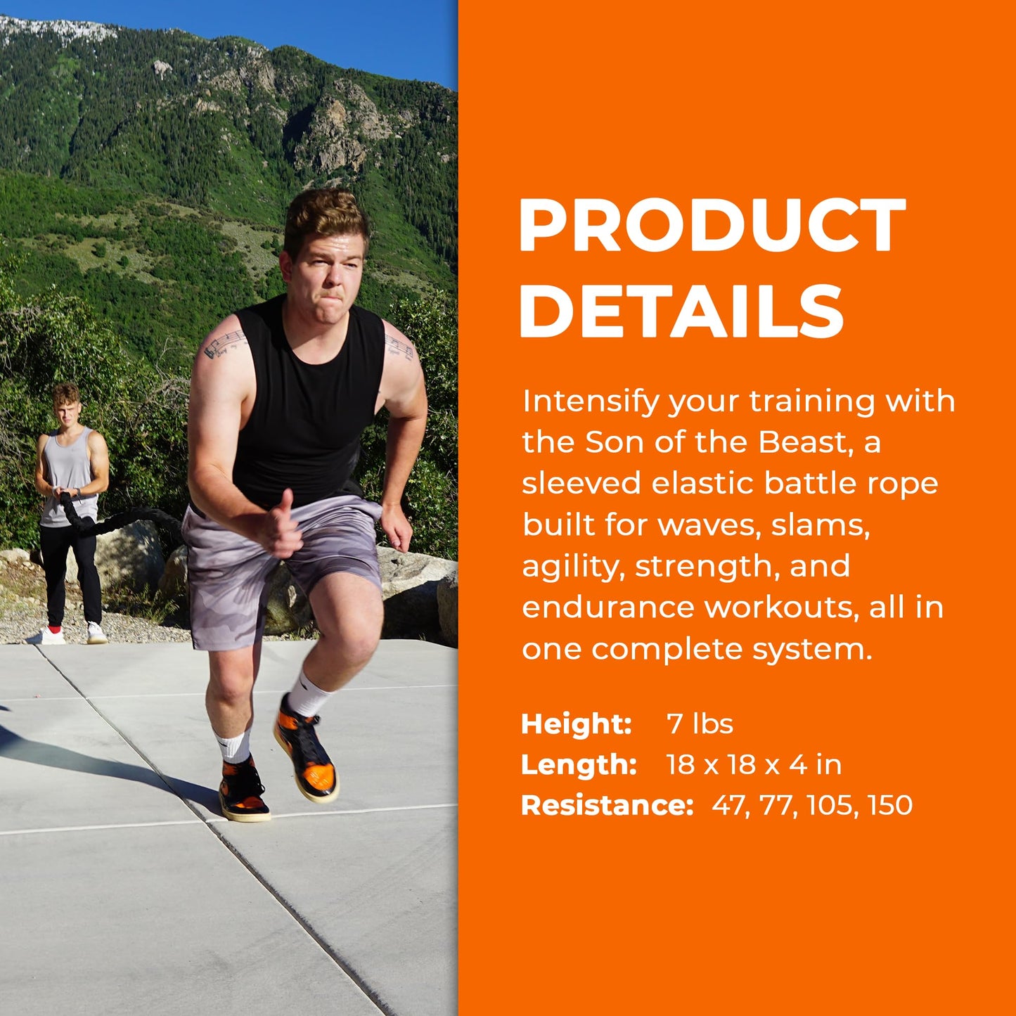 Stroops Son of The Beast Resistance Bands Battle Ropes Set | Elastic Training Rope with Power Pull Belt, Anchors, Carabiners & Agility Dots for Full Body Training | 77Lbs, Pro Kit - Black