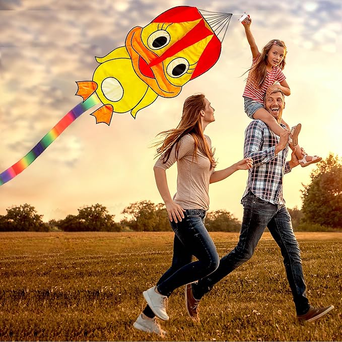 Duck Pattern Kites for Kids, Cute Large Kite Duck Kite with Long Colorful Tail for Kids & Adults, Easy to Fly Kite for Beginners Outdoor Activities