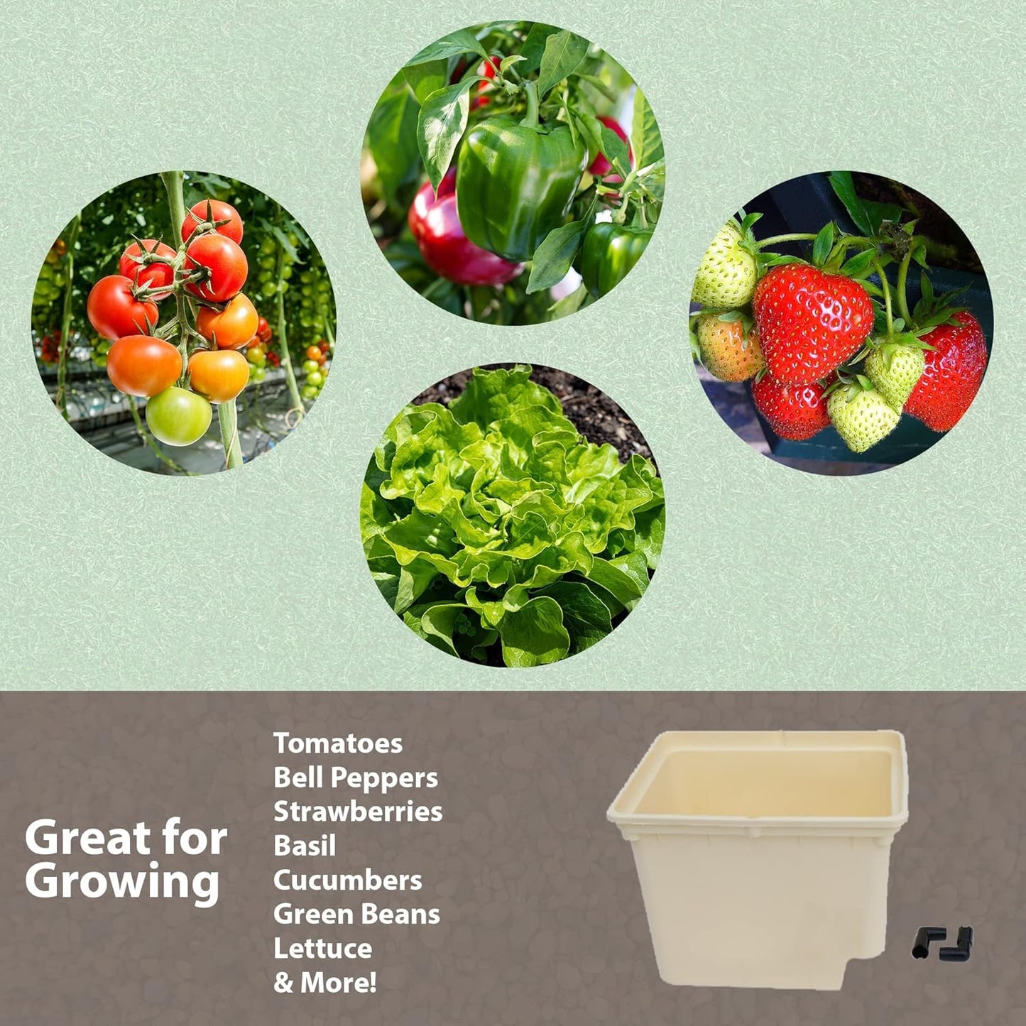 10-Pack Dutch Bucket Hydroponic System – Bato Buckets with Siphon Elbows – 11L (12" x 10" x 9") - Tan or Black (Black)