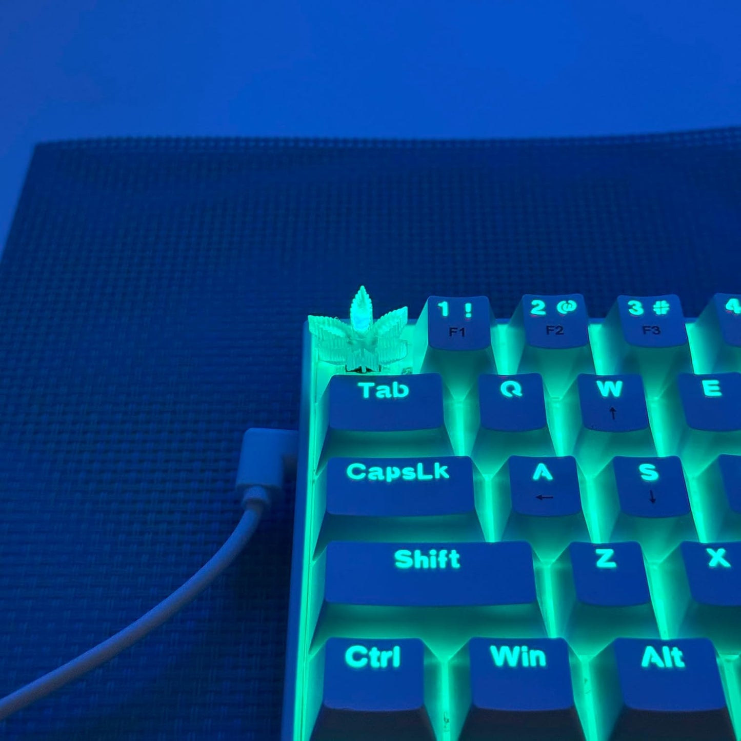 TRENDY WHIMSY Custom Mechanical Keyboard Keycaps Green Leaf Design , PBT Dye-Sub, Cherry MX Compatible, Unique Limited