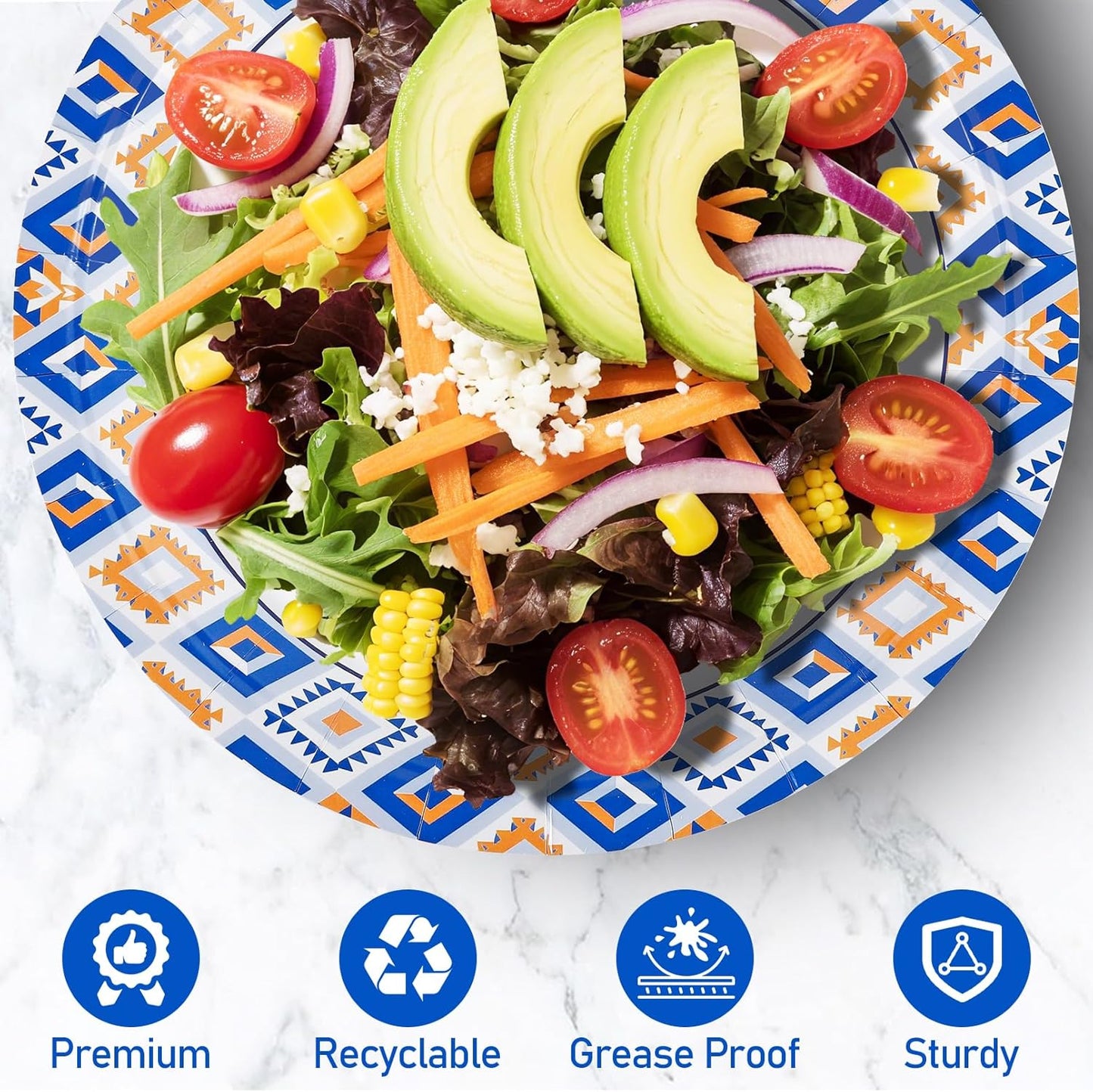 Regine Switzerland 120 PCS Disposable Paper Plates - 9 Inch Heavy Duty, Cut Proof & Soak Proof for Parties & Picnics