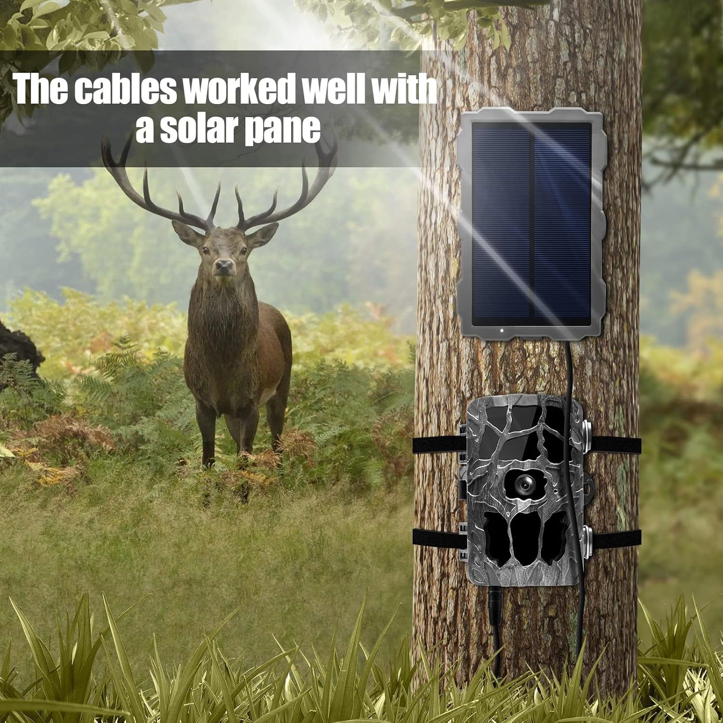 2 Cord,5.5x2.1mm Camera,5.5x2.1mm PCS Trail Camera Power DC External Power Cable Compatible with Spypoint,Stealth