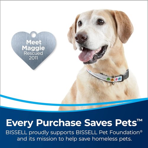 Bissell CleanView Upright Bagless Vacuum Cleaner - Active Wand & Powerful Suction | Model 3536