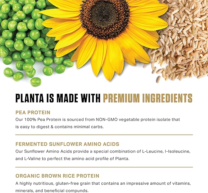 Ambrosia Planta - Premium Plant-Based Protein | Vegan & Keto Friendly | Gourmet Flavors with No Bloating or Stomach Upset | Gluten & Soy Free | No Added Sugar | 25 Servings | Banana Maple