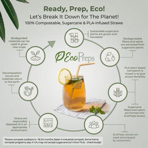 EcoPreps Flexible Biodegradable Sugarcane Straws, 120 Count | 100% Compostable, Plastic-Free, Eco-Friendly Drinking Straws for Cold Drinks | 7.8'' Bendable, Disposable Sugarcane Fiber Straw (120 PCS)
