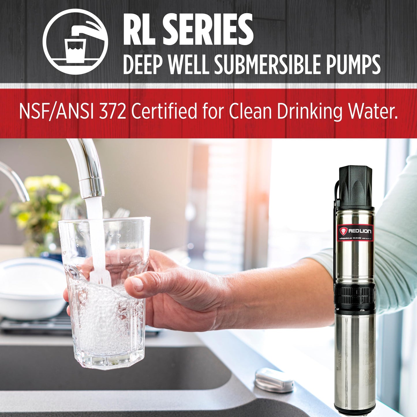 Red Lion RL22G10-3W2V 4-inch Submersible Deep Well Pump with Control Box, 1 HP, 22 GPM, 3-Wire, 230-Volt, Steel, 14942409
