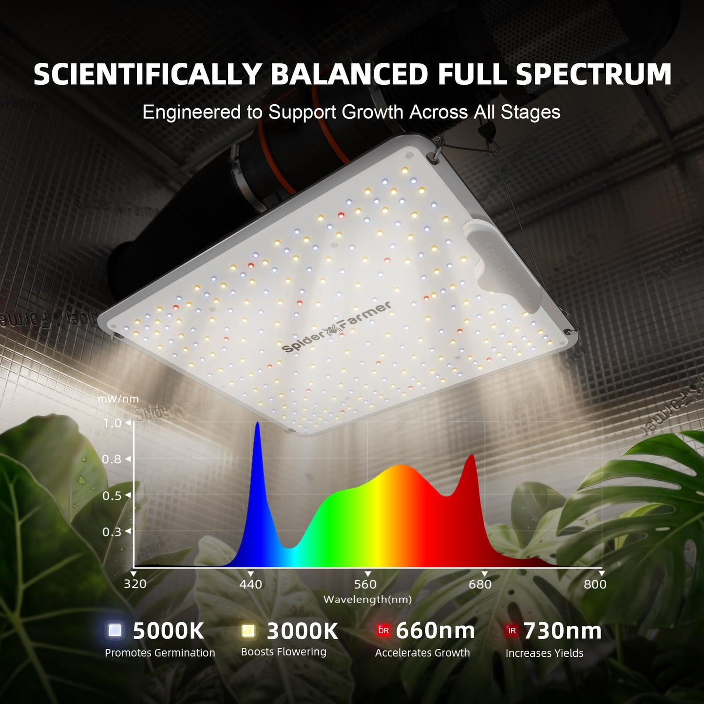Spider Farmer SF1000-2Pack 200W LED Grow Light for Indoor Plants, Upgraded High Efficiency LEDs, Dimmable Full Spectrum High PPFD, Deep Penetration for Seed Starting/Vegetables/Bloom in 2x4 Grow Tent