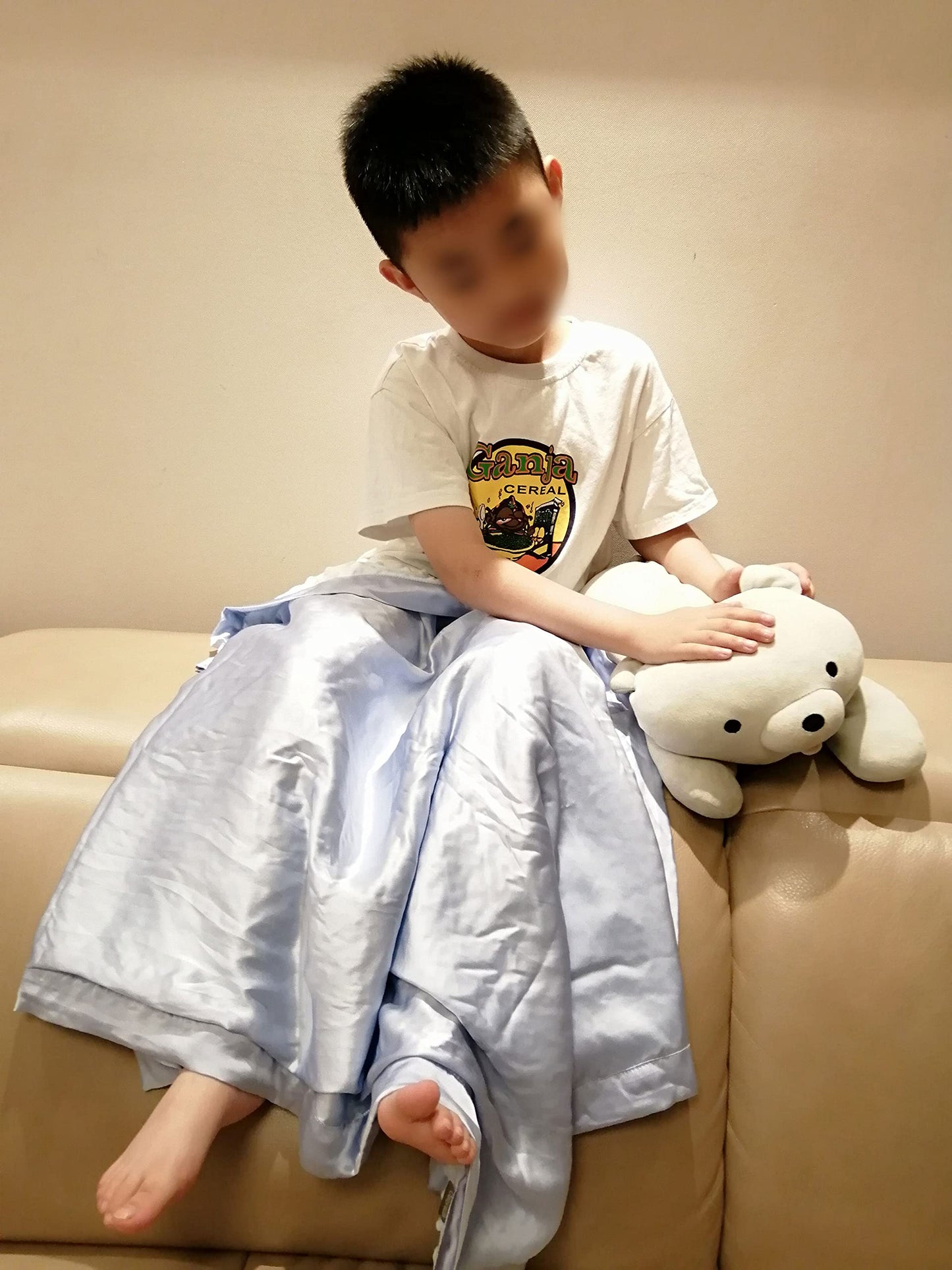 Cozysilk Baby Soft Silk Blanket - 100% Mulberry Silk On One Layer with Minky Plush Dot Blanket Backing - Reversible Double Layer, Gift for Girls/Boys Best for Summer (28 x 40 inch, Grey Blue)