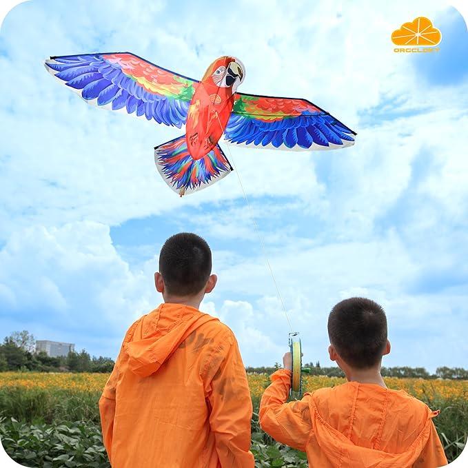 ORGCLDKT- 3D Lifelike Style Bird/Eagle Kite, Super Easy to Fly with, Ideal for Kids, Adults, Girls, Boys. Kites for The Beach, Grassland, Hiking