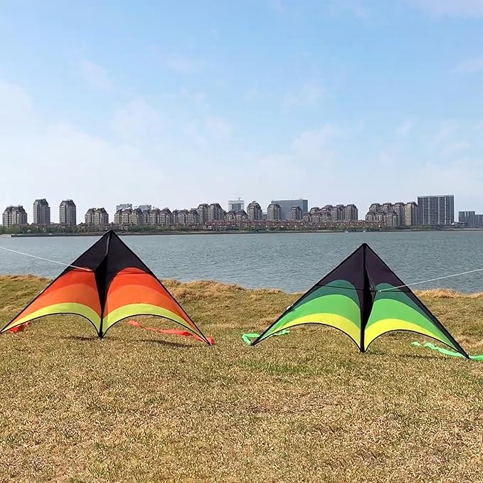 Mint's Colorful Life Delta Kite for Kids & Adults, Extremely Easy to Fly Kite, Best Kites for Beginner