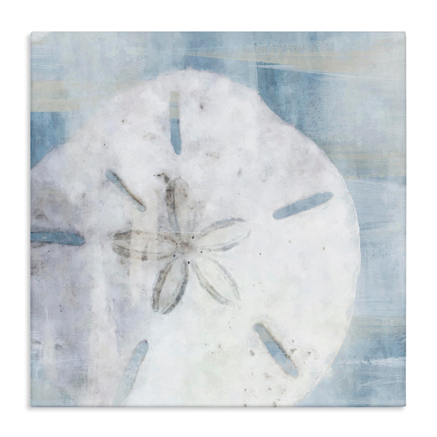 Stupell Industries 'Pastel Blue Sand Dollar Seashell'| Canvas Art