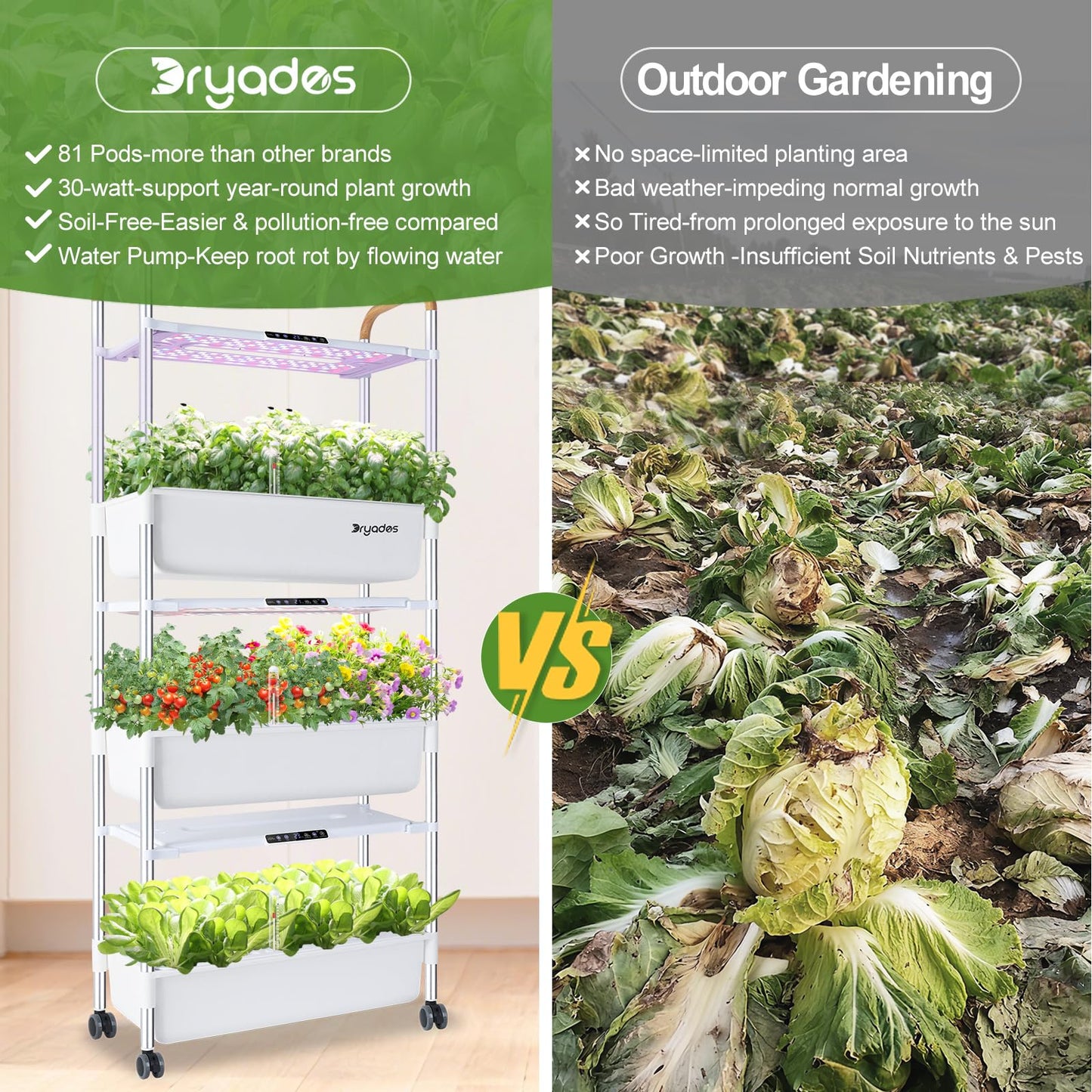 DRYADES Indoor Hydroponic Growing System with 81 Pods Herbs Garden Kit with 30W Led Grow Light Large Movable 3-Layer Floor-Standing Hydroponic Gardening System for Vegetable Fruit