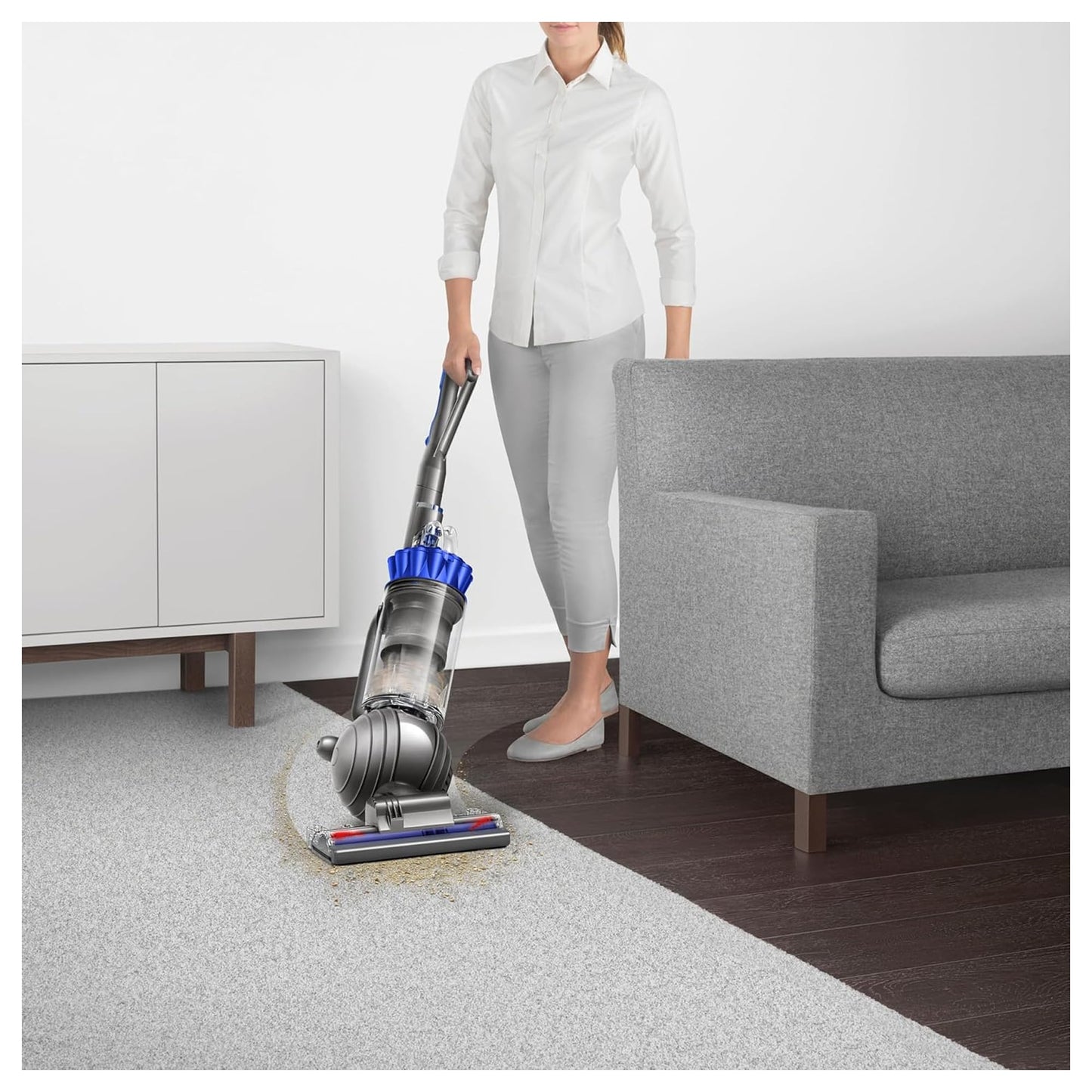 Dyson Ball Animal 2 Plus Corded Vacuum