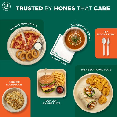 ECO SOUL Compostable Paper Plates 10 Inch, 200 Pack – Heavy Duty Disposable Paper Plates, Biodegradable Sugarcane Bagasse, Durable & Microwave Safe, Unbleached Round Dinner Plates for Party, Picnic