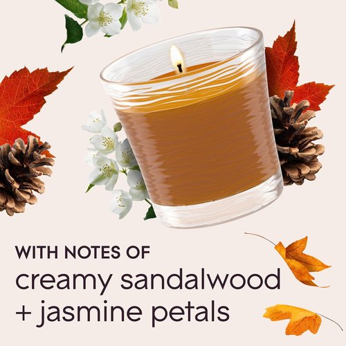 Glade Scented Candle Jar - Cashmere Woods Air Freshener with Essential Oils | 4.08 Oz, 2 Count