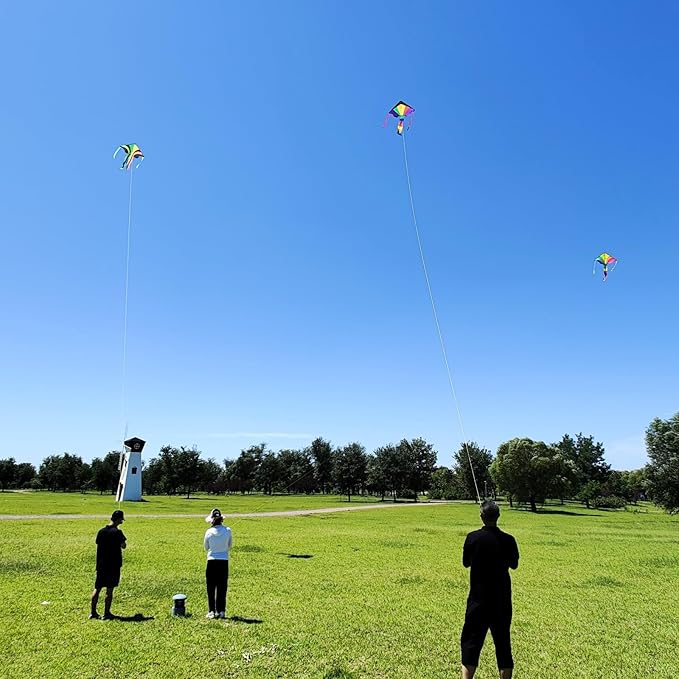 Rainbow Delta Kites(3 Pack), Easy to Fly Kites for Kids Ages 3-5 & 4-8 - Single Line Beach Kite for Toddlers and Beginners.