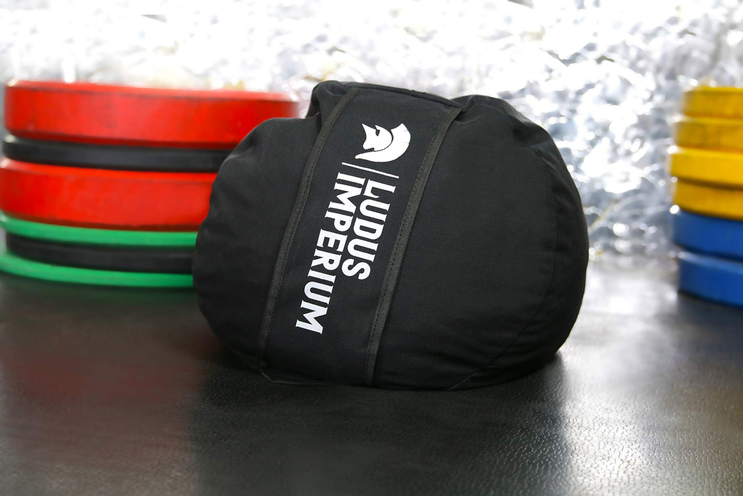 Ludus Imperium Training Sandbag, Heavy Duty Workout Sandbags for Training, Fitness, Cross-Training & Exercise, Workouts, Sandbag Weights (100 LB)