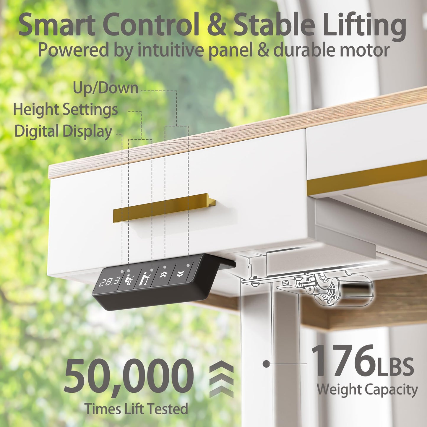 TIQLAB One-Piece Top Electric Standing Desk, 47 x 24 Inch Height Adjustable Sit Stand Desk with Three Drawers for Home Office, Maple