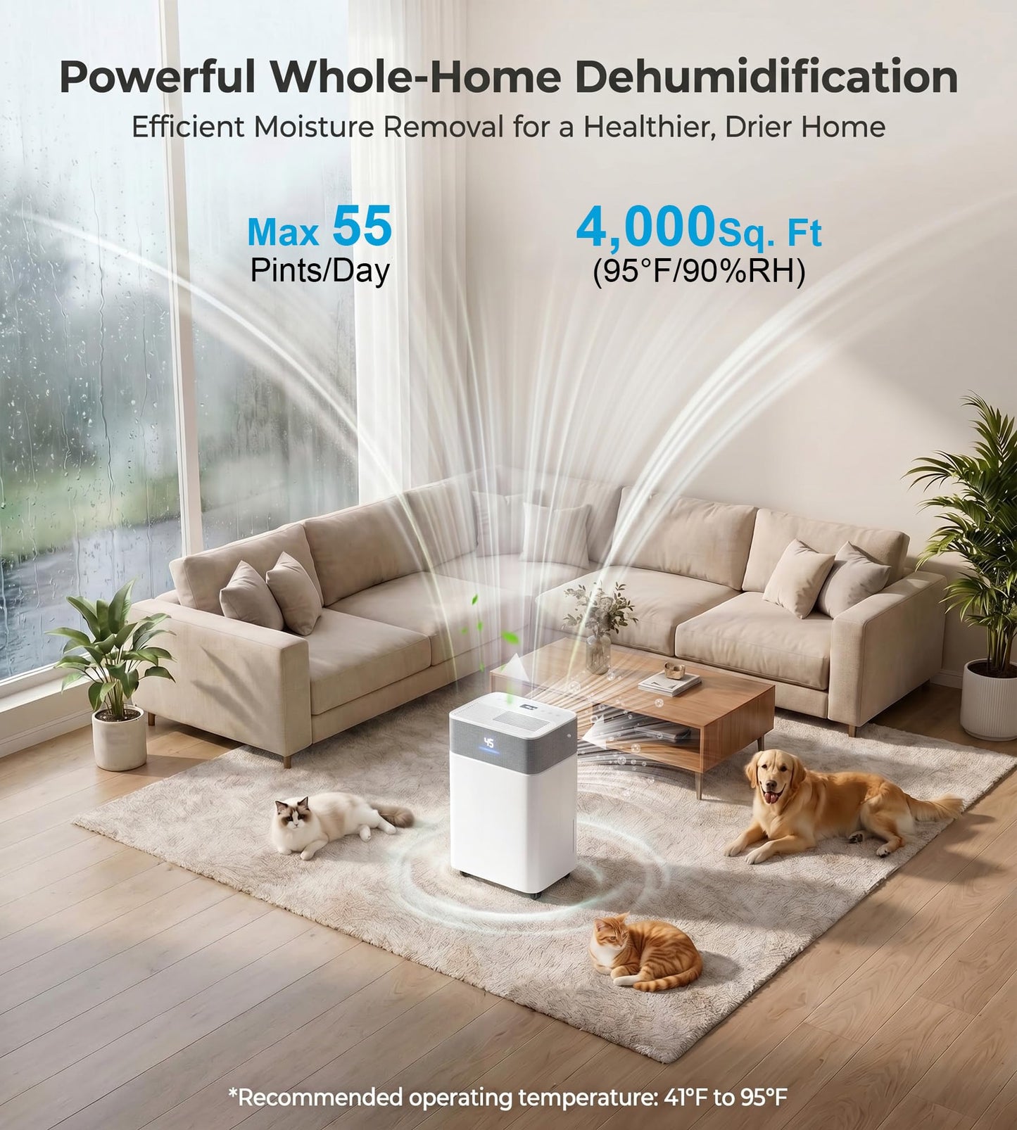 AKIRES 55Pint Dehumidifier for 4000Sq.Ft, Smart Dehumidifier with Drain Hose, 1.15Gal Removable Tank, LED Display, 24H Timer & Child Lock, Dehumidifier for Basement,Bedroom,Bathroom(White)
