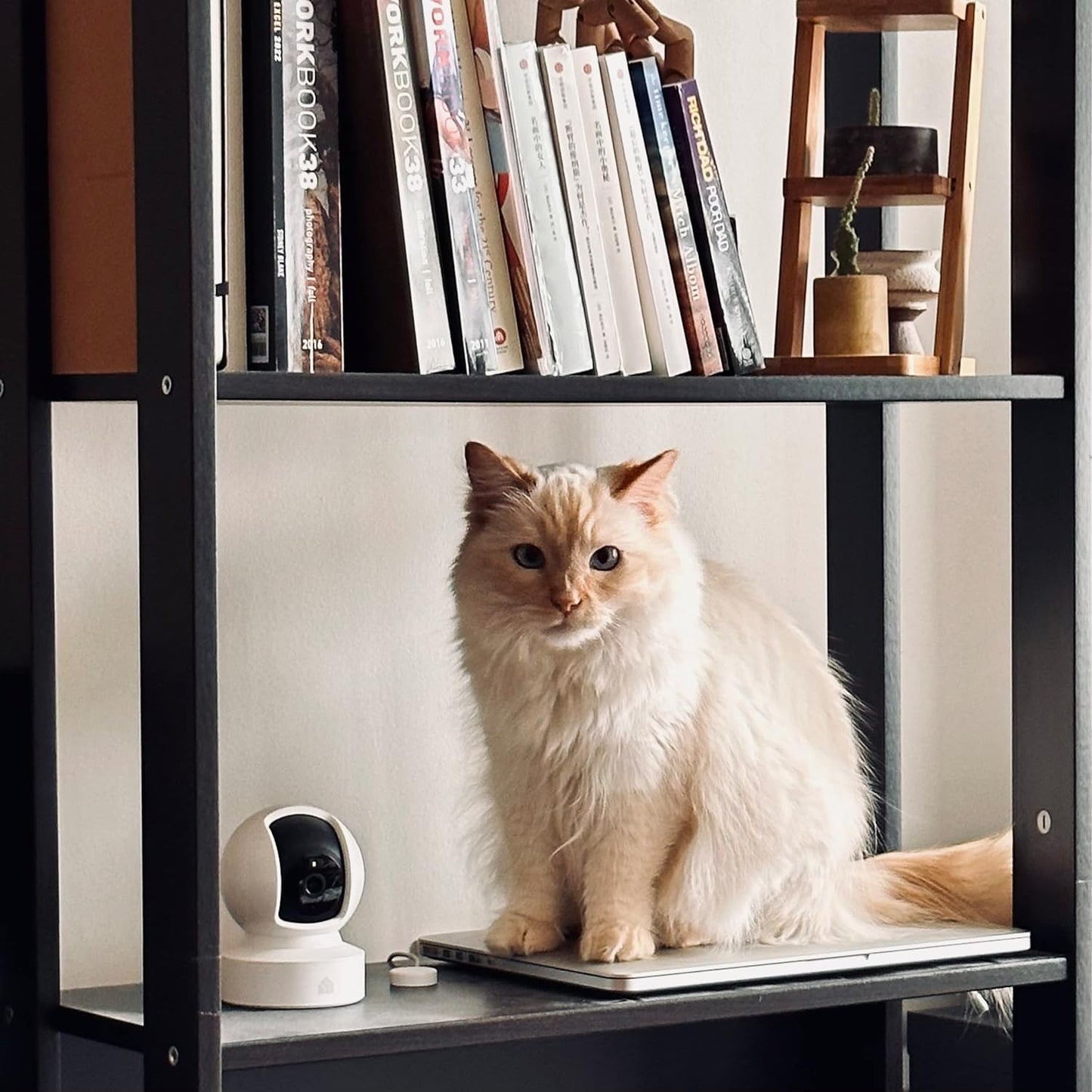 Kasa Smart 2K+ 2-Way KC410S Kasa Indoor Pan/Tilt Wired Security Camera - Works as a Baby Monitor & Pet Camera, Motion