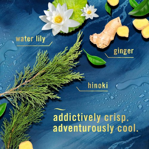 Febreze Plug-In Air Freshener Refill - Long-Lasting Odor-Fighting Scents, Ocean & Mountain, 4 Count