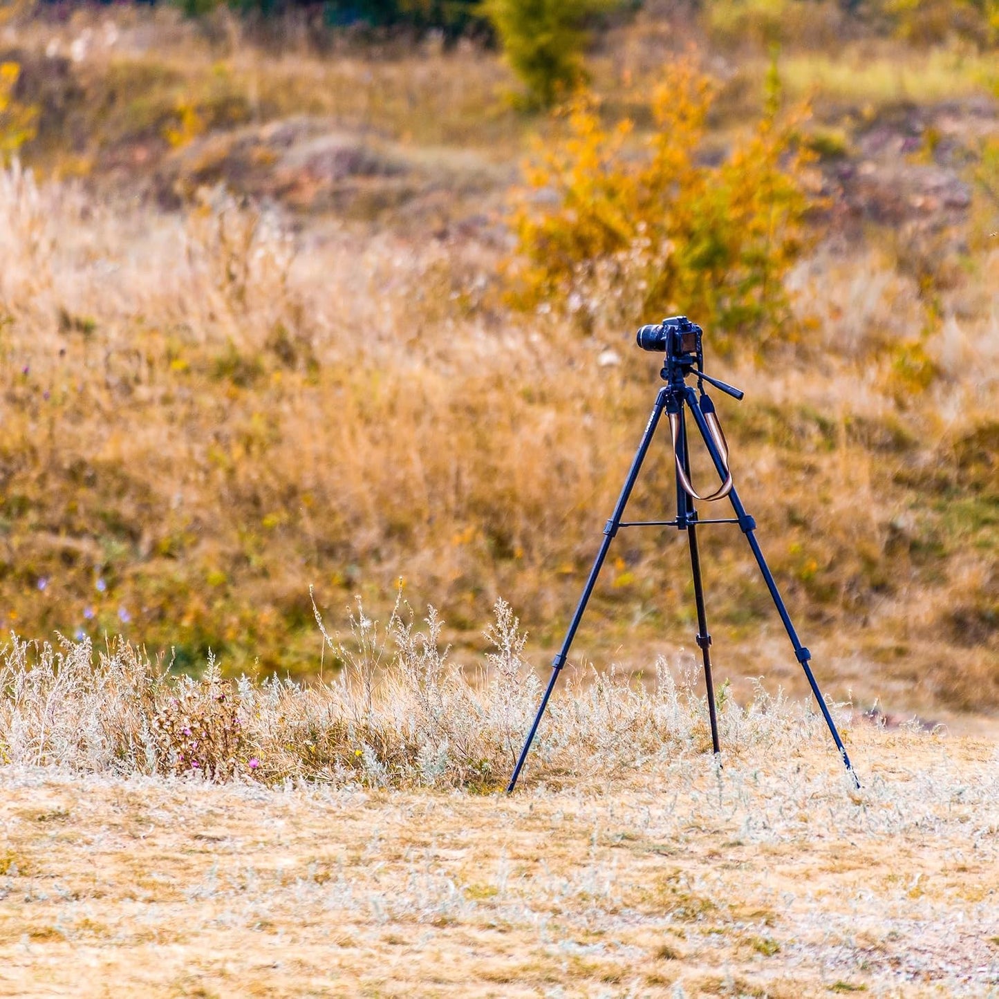 Barska AF12440 40"" " Digital Tripod with Carrying Case Extendable to for Spotting Scopes, Binoculars, Cameras, etc"