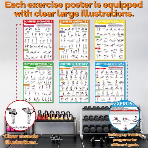 Gisgfim Workout Posters - 6PCS Home Gym Exercise Charts for Dumbbell & Bodyweight Stretching