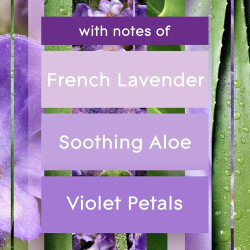 Glade PlugIns Refills Air Freshener - Tranquil Lavender & Aloe, Scented Essential Oils, 10 Count
