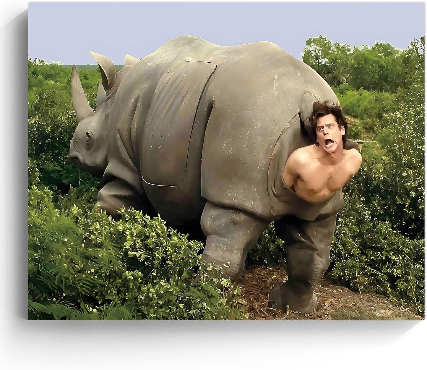 VYPEROCK Funny Canvas Wall Art - Retro Ace Ventura Humor Poster for Bathroom | 8x10 Inch