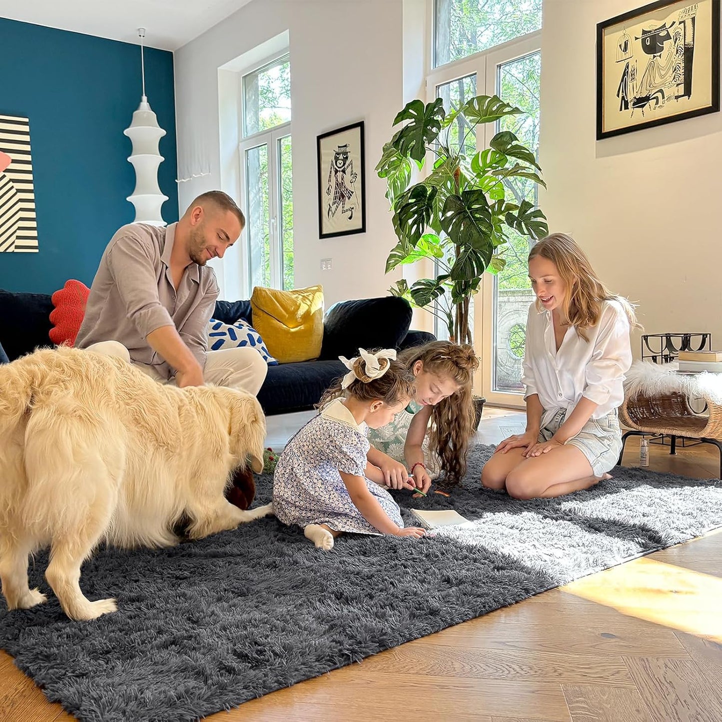 OLANLY Large Area Rug - Soft Fluffy Shaggy Carpet for Living Room & Bedroom | 9x12 Grey Indoor Decor