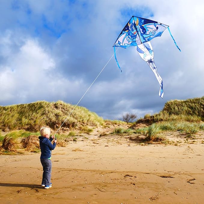 Delta Kite for Kids & Adults - Easy to Fly Large Single Line Beach Kite with 300ft String Handle Included, Perfect for Beginners, Teens