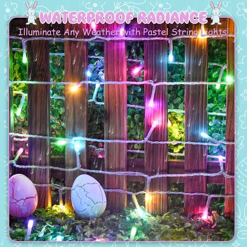 Cshare Easter String Lights - Battery Operated 30 LED Fairy Lights with Timer | 9.8ft Transparent Wire for Indoor & Outdoor Decorations (2 Packs)