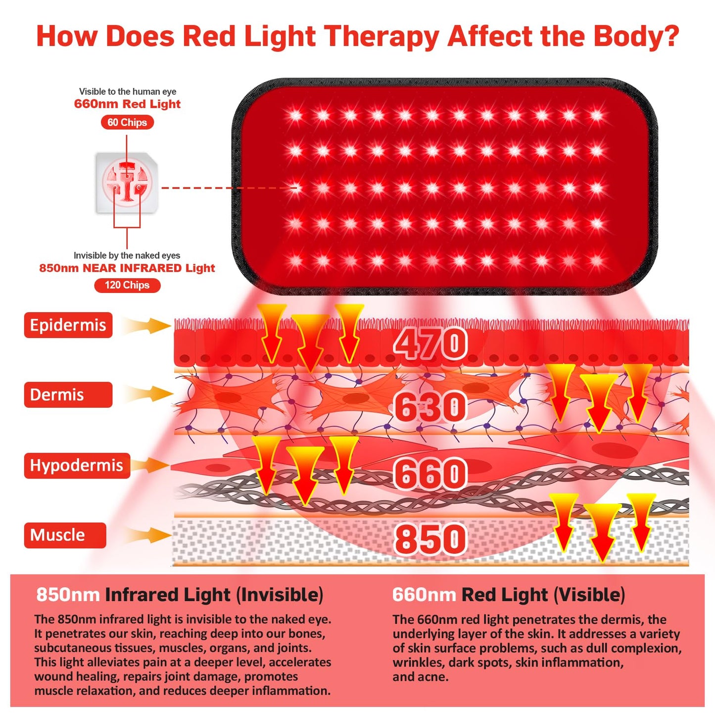 Red Light Therapy for Body, 660nm 850nm Infrared Light Therapy Pad, Wearable Wrap with Timer Remote Control for Back Shoulder Waist Knee, Infrared Light Device Home Use, 12.4'' x 5.7'' Large Area