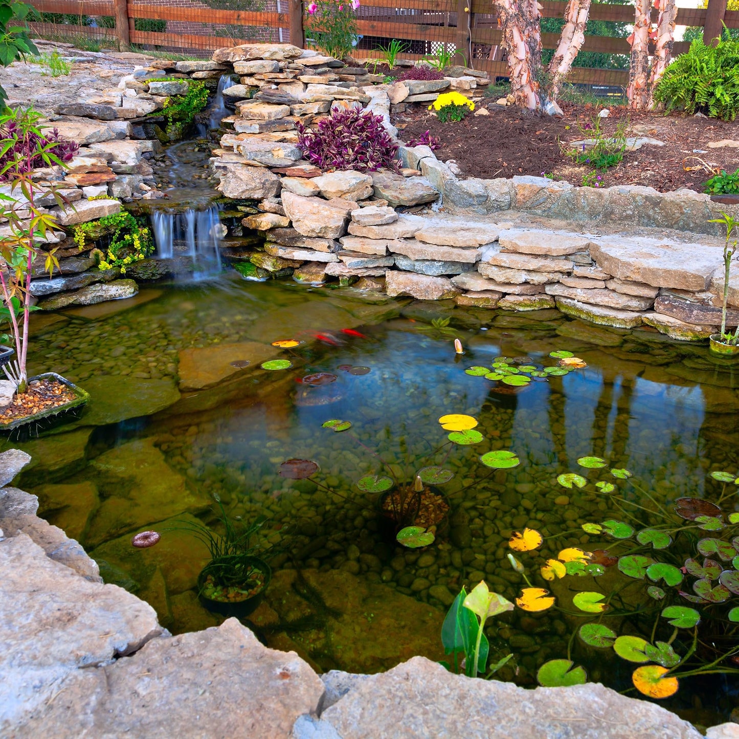 Adroiteet 20 x 25 FT Pond Liner, 20 Mil Fish Pond HDPE Liner, Pond Liners for Outdoor Ponds, Koi Ponds, Garden Fountain, Waterfall