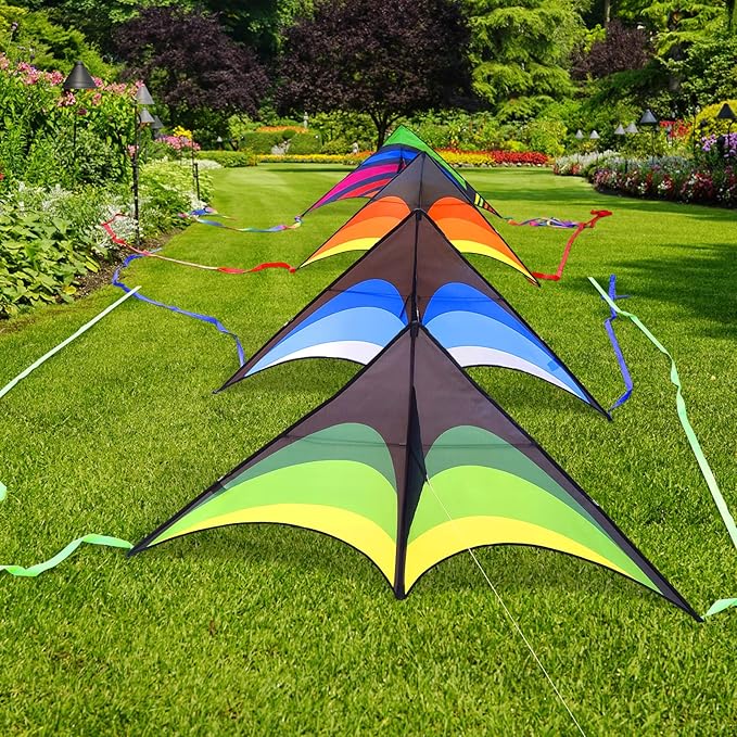 Mint's Colorful Life Delta Kite for Kids & Adults, Extremely Easy to Fly Kite, Best Kites for Beginner