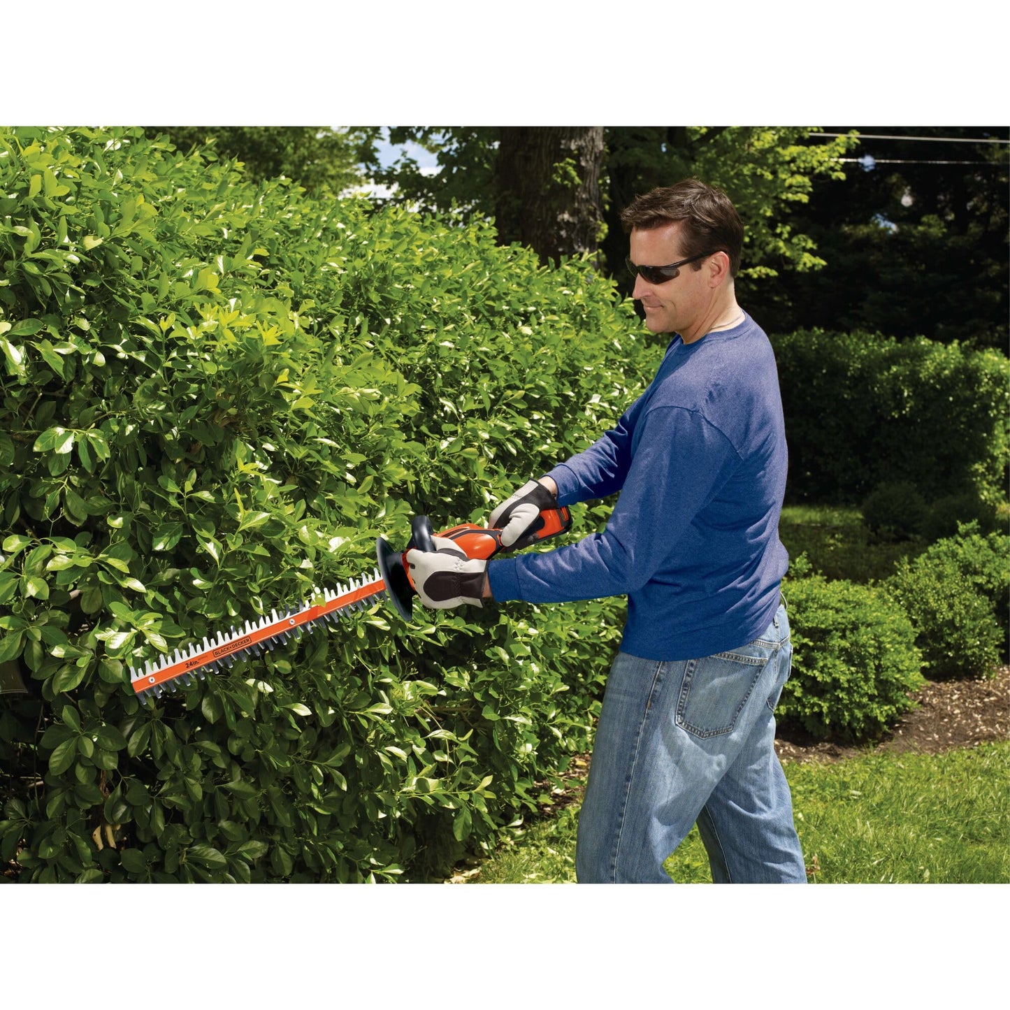 BLACK+DECKER 40V MAX Hedge Trimmer, Cordless, 24-Inch Blade, Battery and Charger Included (LHT2436)