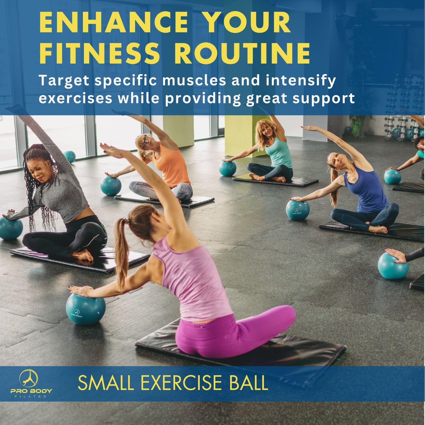 ProBody Pilates Small Exercise Ball with Pump - 9 Inch Workout Ball for Stability, Barre, Yoga, Core & Physical Therapy, Home Gym & Office Use (Blue)