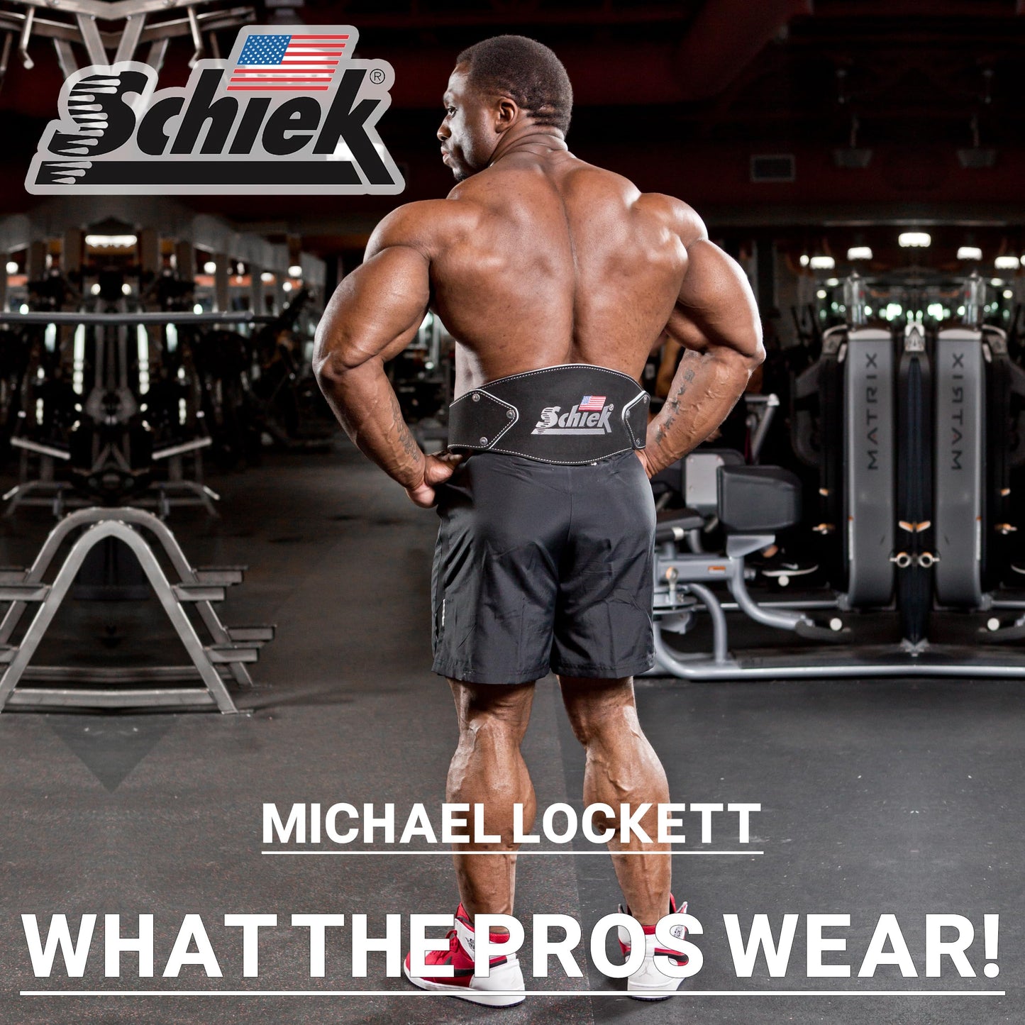 Schiek Leather Dip Belt - Weight Lifting Belt