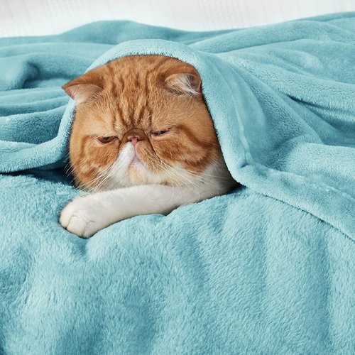 Bedsure GentleSoft Fleece Throw Blanket - Cozy River Blue Plush Blanket for Couch, 50x70 Inches
