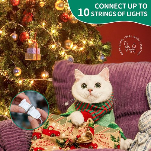 HEYFUNi Clear Christmas Lights Set - 50 Count Mini String Lights for Holiday Decor | 13 Feet White Wire