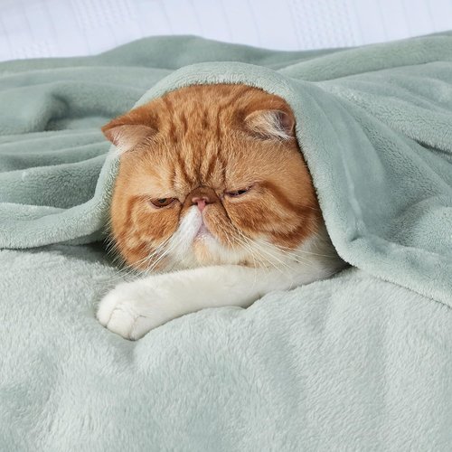 Bedsure GentleSoft Fleece Blanket - King Size Sage Green, 280GSM Soft & Cozy for Bed, Sofa, Travel