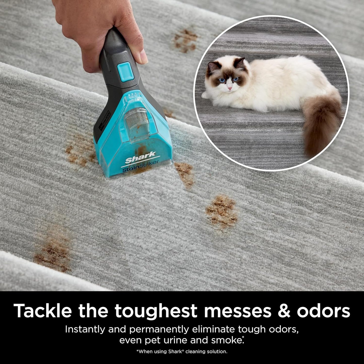 Shark StainStriker OXY Multiplier Formula - 32oz Carpet Cleaner for All Carpets & Upholstery