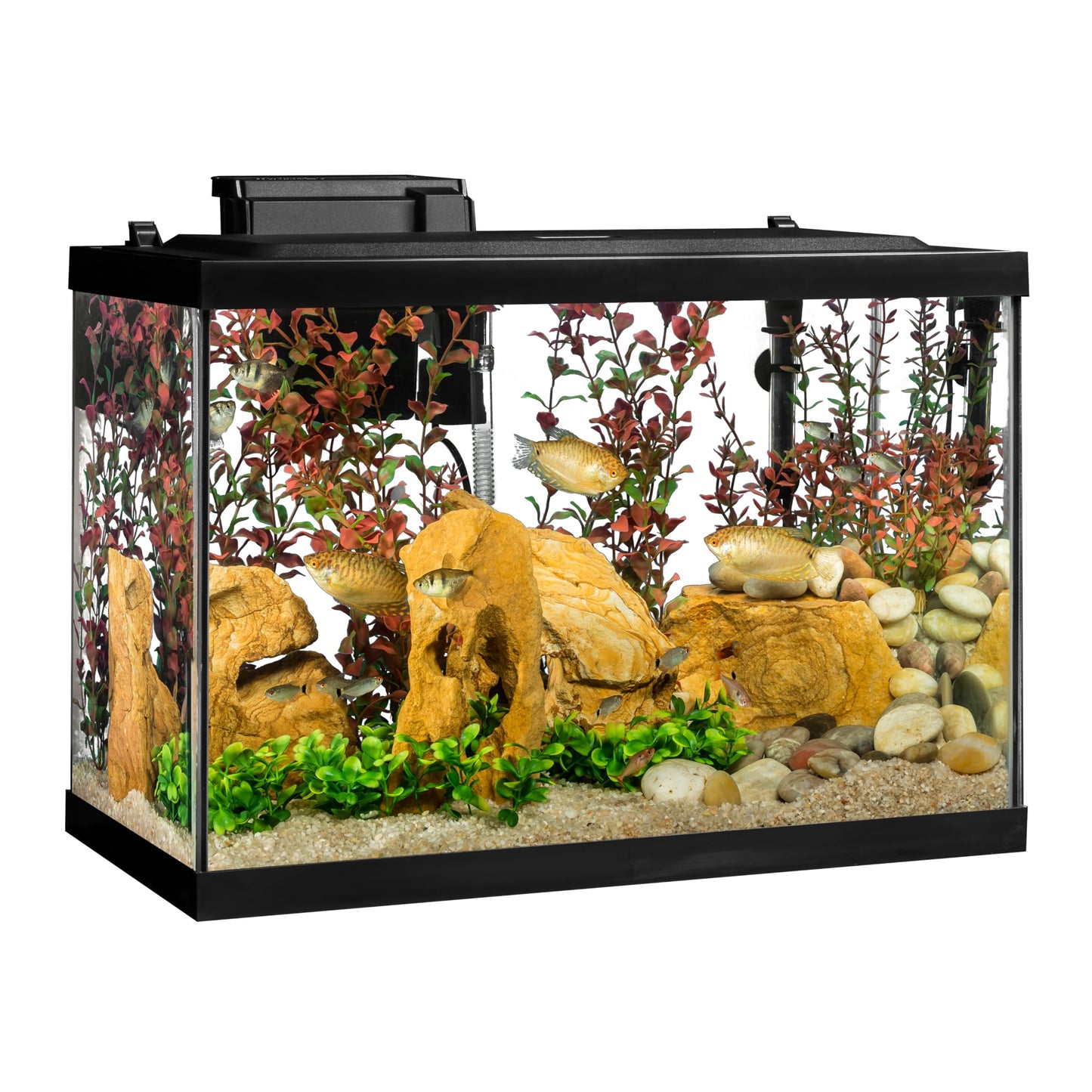 Tetra Aquarium, 20 Gallon, Complete Tropical Fish Tank Kit With LED Lighting And Decor For Freshwater Fish