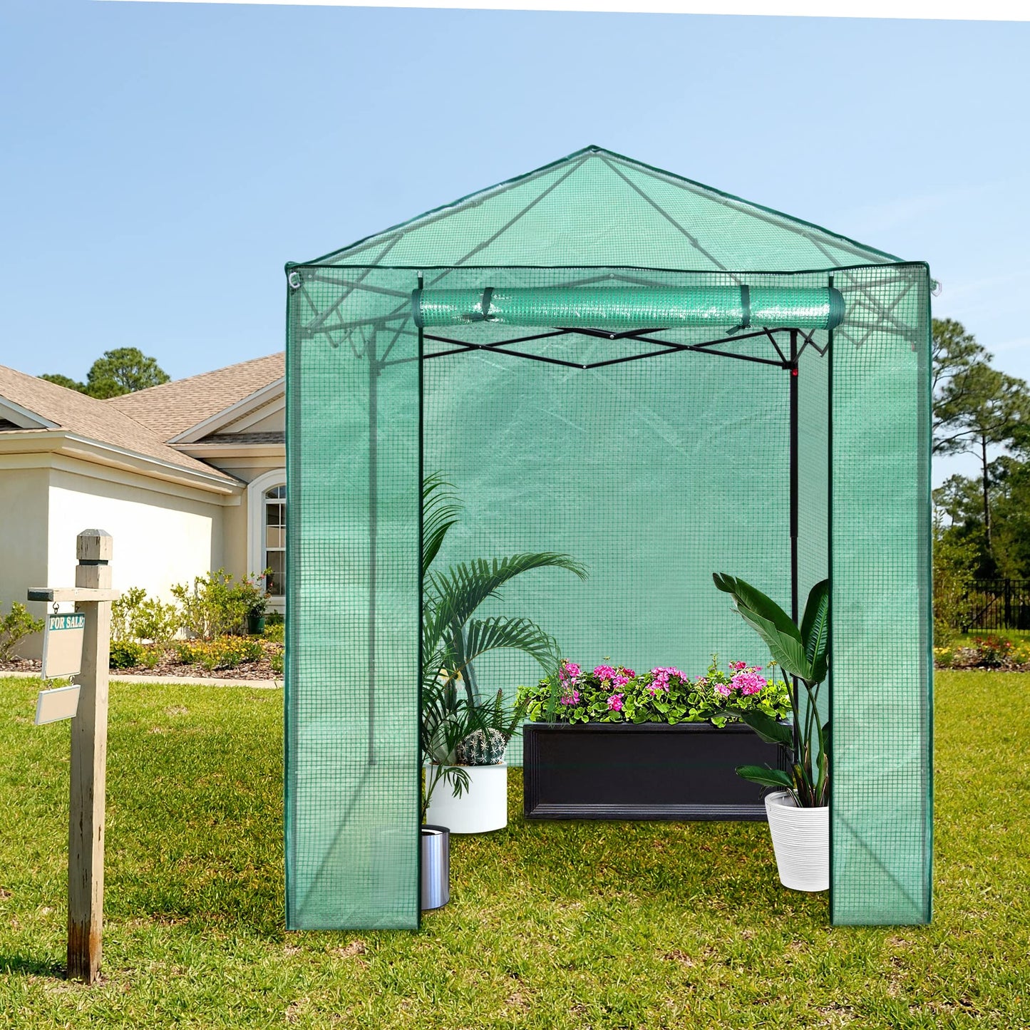 PexFix 6'x 5' Portable Walk-in Greenhouse, Easy Setup, Indoor/Outdoor, 2 Roll-Up Mesh Windows, Roll-Up Zipper Door, Green